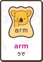 arm うで