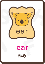 ear みみ