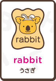 rabbit うさぎ