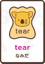 tear なみだ