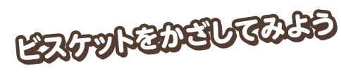 ビスケットをかざしてみよう